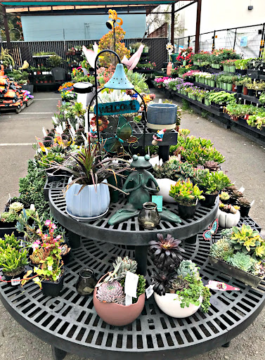 Hardware Store «Laurel Ace Hardware», reviews and photos, 4024 MacArthur Blvd, Oakland, CA 94619, USA