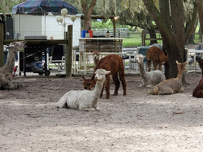 LunaSea Alpaca Farm