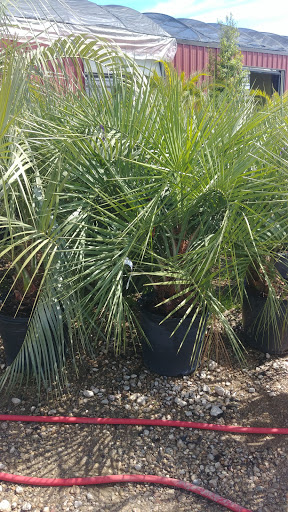 Landscaper «Landscape Source», reviews and photos, 167 Ole W Ln, Rockwall, TX 75087, USA