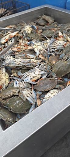 Supermarket «Jumbo Food International Supermarket», reviews and photos, 3201 Brinkley Rd, Temple Hills, MD 20748, USA