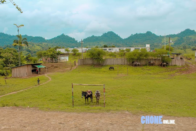 Opiniones de Infocentro Las Garzas en Shushufindi - Escuela