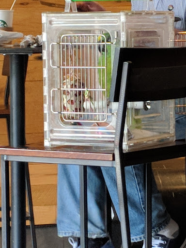 Starbucks image