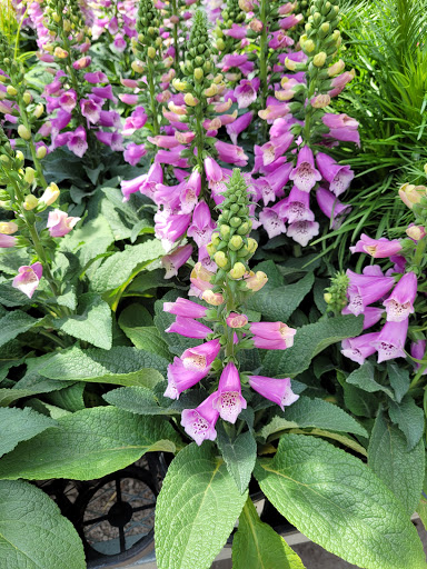 Home Improvement Store «The Home Depot», reviews and photos, 2600 S Lapeer Rd, Lake Orion, MI 48360, USA