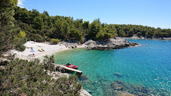 Robinson beach'in fotoğrafı küçük bir koy ile birlikte