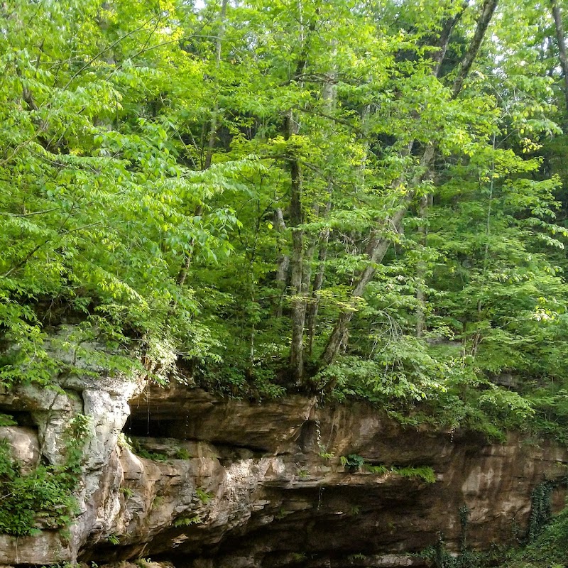 Short Creek Cave