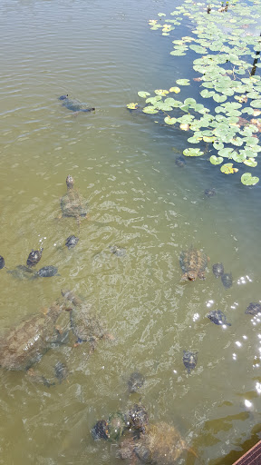 Ski Resort «Shawnee Mountain Ski Area», reviews and photos, 401 Hollow Rd, East Stroudsburg, PA 18301, USA