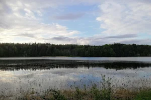 Vihnusjärvi image