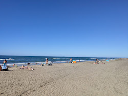 Foto von Espiguette wild beach mit sehr sauber Sauberkeitsgrad