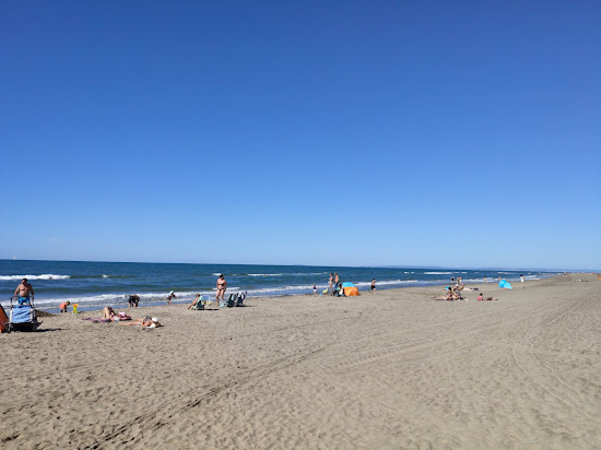 Espiguette wild beach