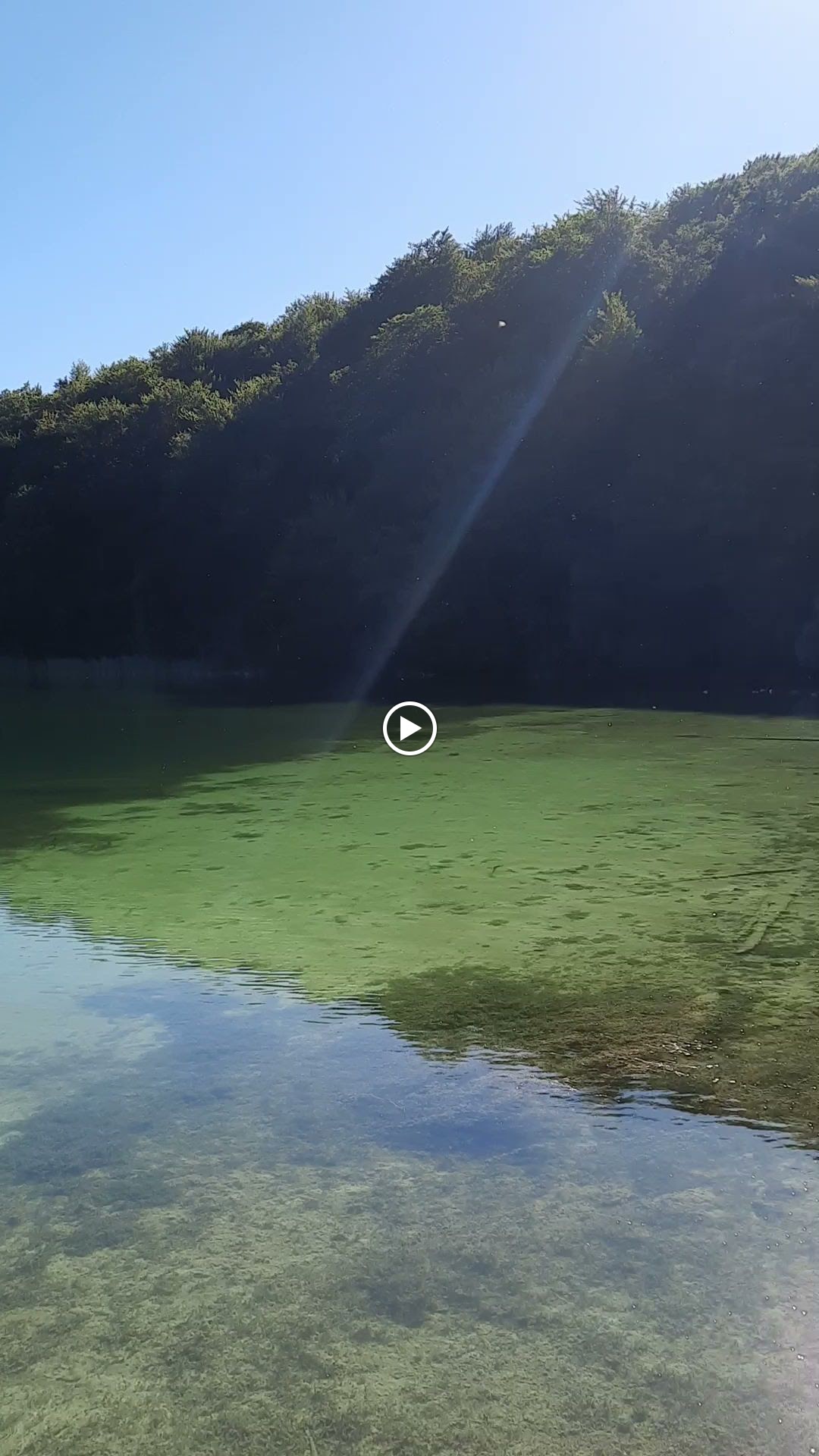 Photo n° 2 de l'avis de Philippe.l fait le 11/08/2023 à 16:37