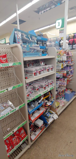 Dollar Store «Dollar Tree», reviews and photos, 250 Jericho Turnpike #80, Floral Park, NY 11001, USA