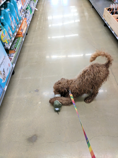 Pet Supply Store «Pet Supplies Plus», reviews and photos, 2801 Wade Hampton Blvd #100, Taylors, SC 29687, USA