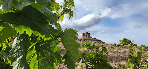 Golf Course «Cerbat Cliffs Golf Course», reviews and photos, 1001 Gates Ave, Kingman, AZ 86401, USA