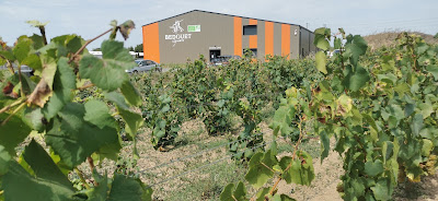 Bedouet vigneron à Le Pallet