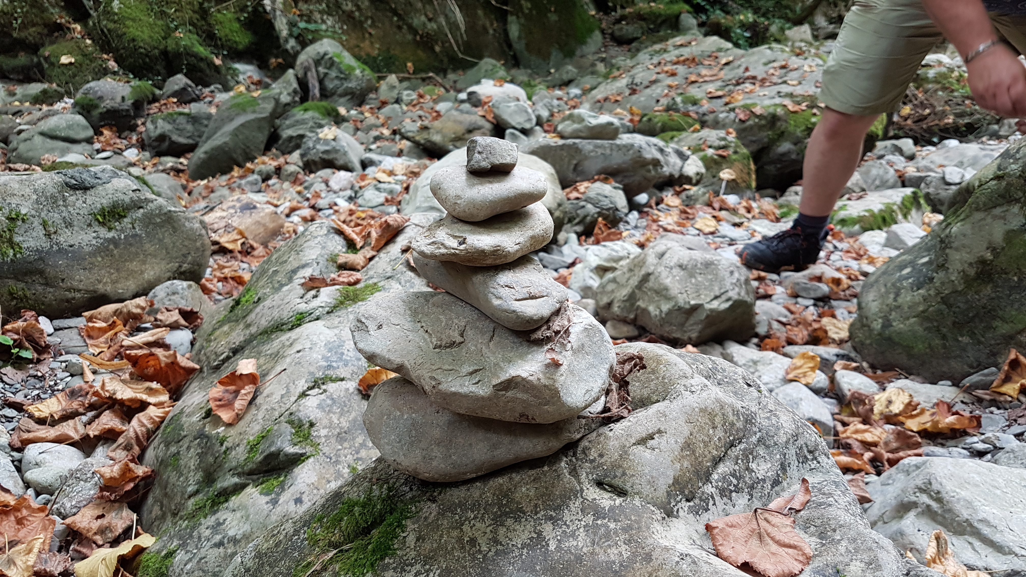Photo n° 3 de l'avis de T.a fait le 31/08/2021 à 12:10