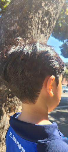 Beauty Salon «Monterey Beauty Salon», reviews and photos, 597 Monterey Blvd, San Francisco, CA 94127, USA