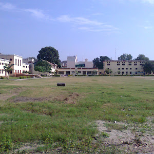 D A V Senior Secondary School photo