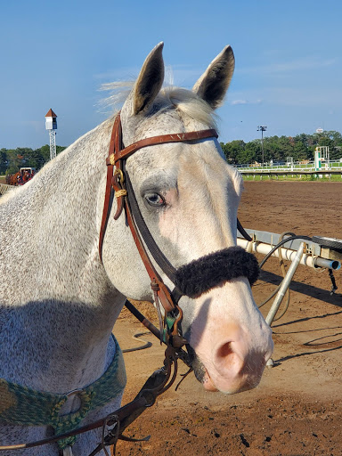 Racecourse «Canterbury Park», reviews and photos, 1100 Canterbury Rd, Shakopee, MN 55379, USA