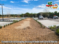 Nature's Care Orlando, LLC - Photo 4 - Car repair in Longwood, FL, Deltona