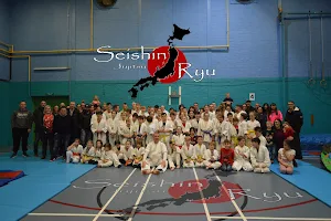 Seishin Ryu Ju Jitsu Mold / Buckley image