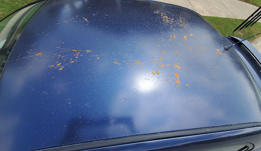 Auto Body Shop «Tri County Collision Center», reviews and photos, 1000 Dahlonega Hwy, Cumming, GA 30040, USA