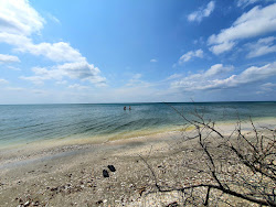 Perisor beach'in fotoğrafı vahşi alan