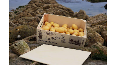 La Rebelle - Pomme de Terre à Ars-en-Ré