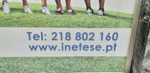 INETESE - Instituto para o Ensino e Formação