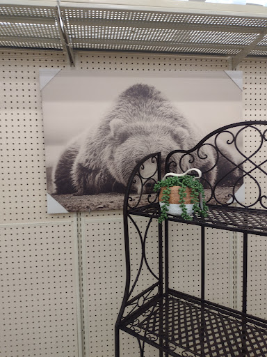 Craft Store «Hobby Lobby», reviews and photos, 505 N Foothills Plaza Dr, Maryville, TN 37801, USA