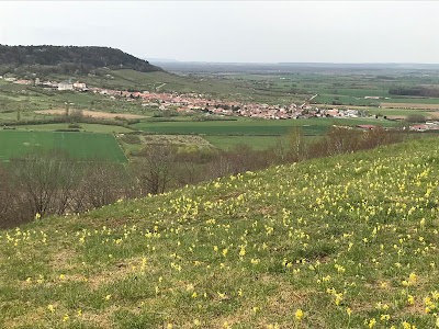 Côte Barine à Pagney-derrière-Barine