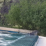 Photo n°9 de l'avis de nabil.e fait le 10/09/2022 à 07:32 sur le  Masseria degli Ulivi à Noto