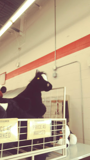 Home Improvement Store «Tractor Supply Co.», reviews and photos, 811 N Humboldt Ave, Willows, CA 95988, USA