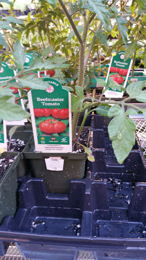 Home Improvement Store «Grange Co-op», reviews and photos, 1262 Stabler Ln, Yuba City, CA 95993, USA