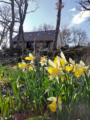 La Jonquille à Gramat
