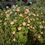 Photo n° 2 de l'avis de Heart.t fait le 24/08/2023 à 20:03 pour Parc de Wesserling - Écomusée Textile à Husseren-Wesserling