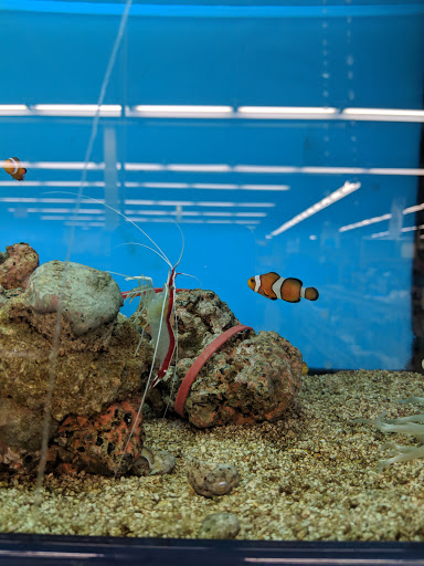 Pet Supply Store «Petco Animal Supplies», reviews and photos, 525 S 5th St, Bismarck, ND 58504, USA