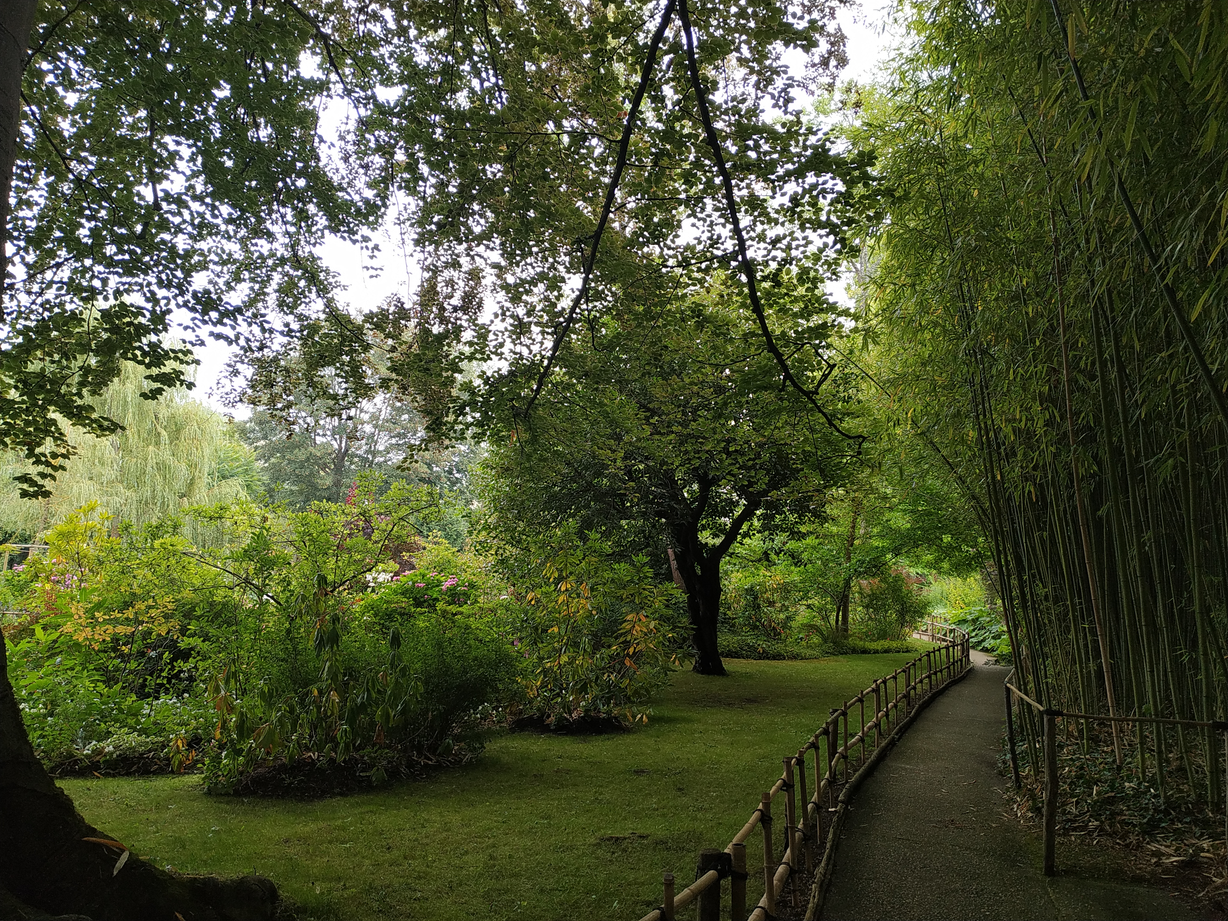 Photo n° 20 de l'avis de Pagliai.o fait le 18/07/2020 à 15:42