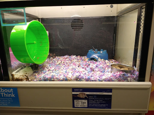 Pet Supply Store «PetSmart», reviews and photos, 300 N Congress Ave, Lake Park, FL 33403, USA