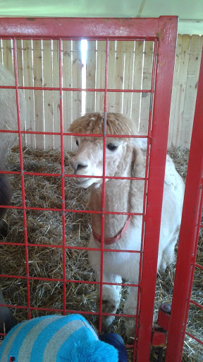 Produce Market «Didier Farms», reviews and photos, 16678 Aptakisic Rd, Lincolnshire, IL 60069, USA