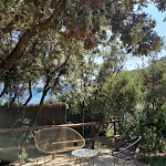 Photo n°9 de l'avis de sussi.i fait le 02/06/2022 à 17:50 sur le  Vistamare Beach Restaurant à Castiglione della Pescaia