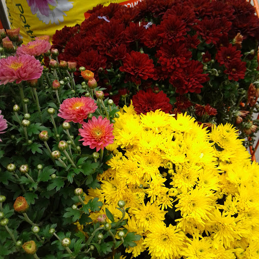 Home Improvement Store «The Home Depot», reviews and photos, 5410 Perkiomen Ave, Reading, PA 19606, USA