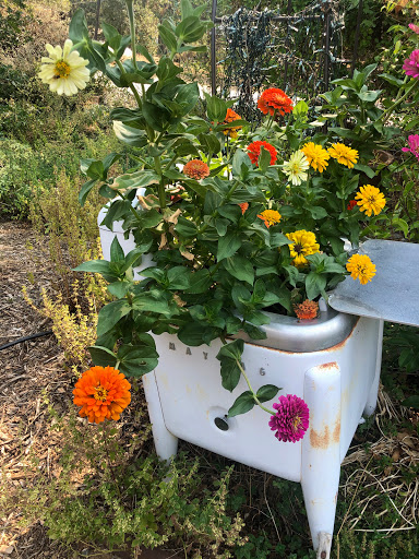 Coffee Shop «Mountain Sage», reviews and photos, 18653 Main St, Groveland, CA 95321, USA