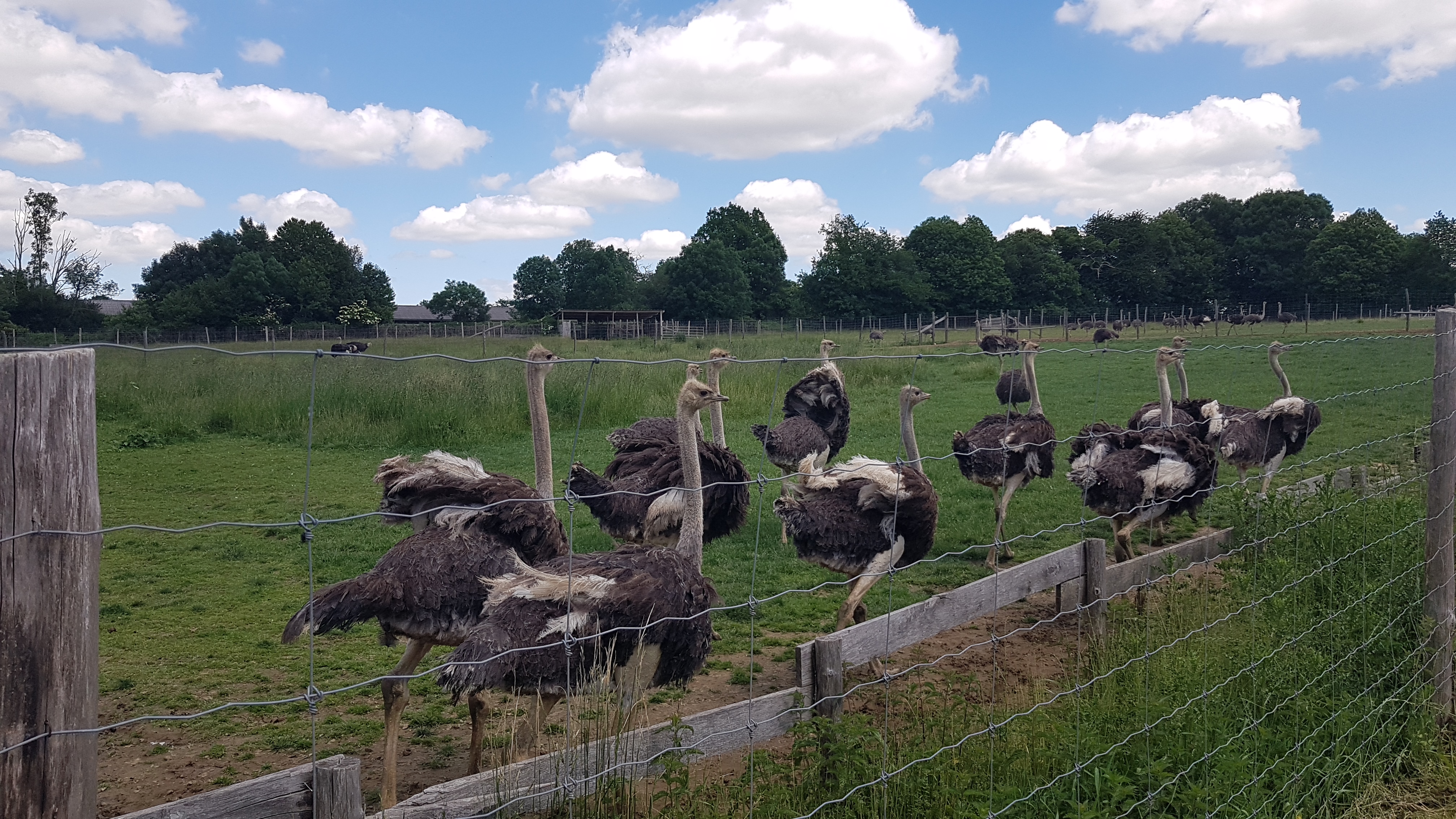 Photo n° 1 de l'avis de stephane.i fait le 05/06/2021 à 15:53