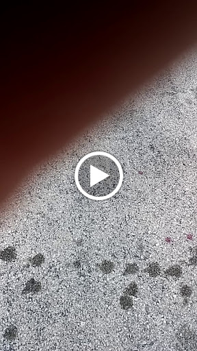 Thrift Store «YOTO Community Thrift Store», reviews and photos, 1731 N Glenstone Ave, Springfield, MO 65803, USA