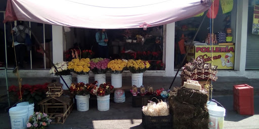 Floreria TEXCOCO – Tecámac de Felipe Villanueva