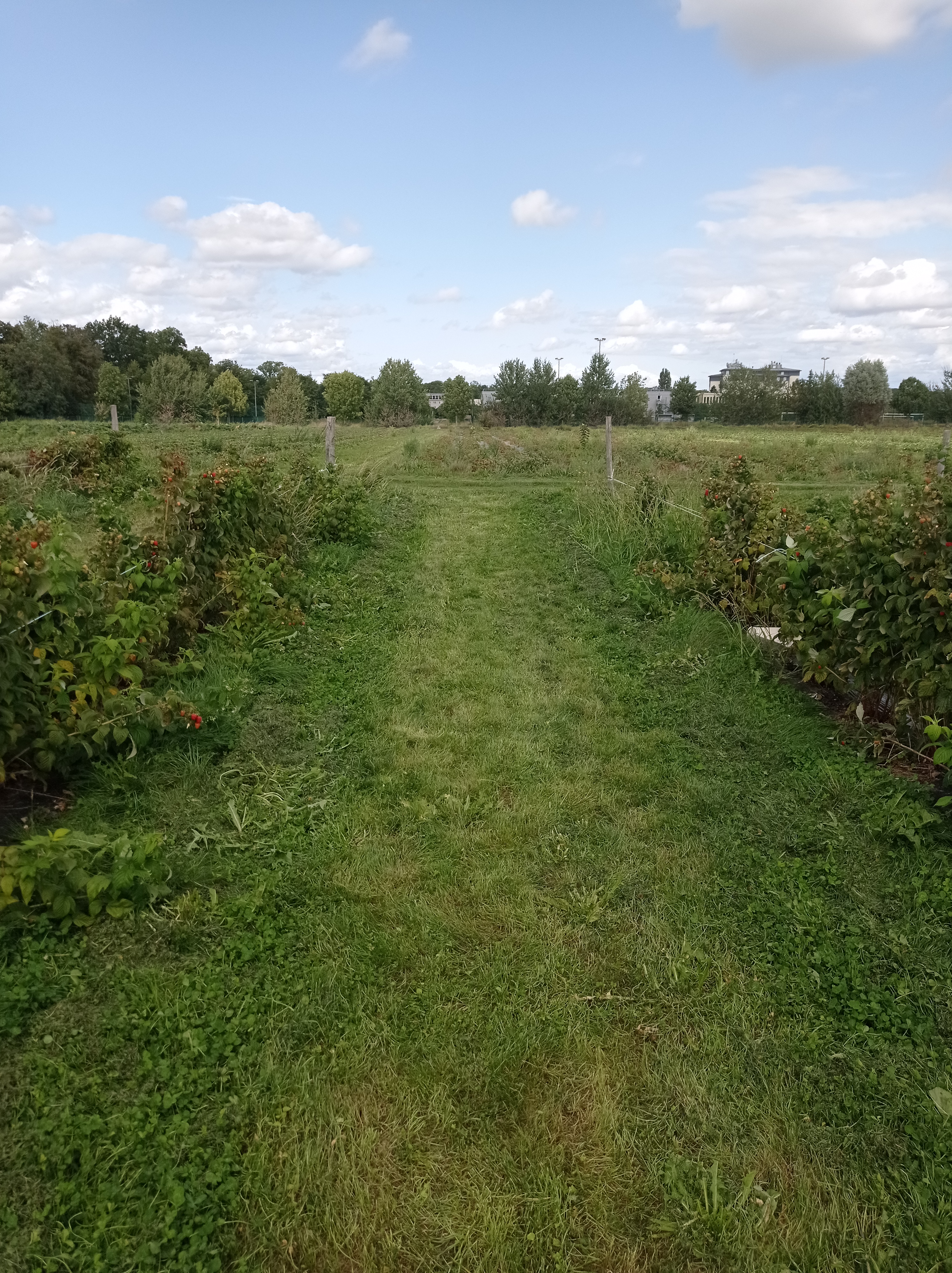 Photo n° 5 de l'avis de alexandre.u fait le 27/08/2023 à 13:21