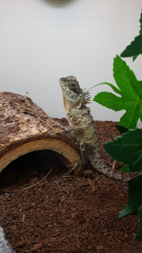 Pet Supply Store «Pet Supplies Plus», reviews and photos, 1937 FL-60, Valrico, FL 33594, USA