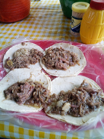Tacos de Barbacoa Galván