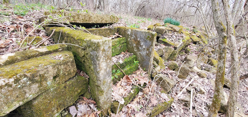 Nature Preserve «Beanblossom Bottoms Nature Preserve - Sycamore Land Trust», reviews and photos, N Woodall Rd, Ellettsville, IN 47429, USA