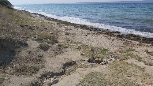 Halileli beach photo #2